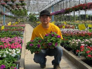 杭州格桑園藝有限公司 杭州格桑園藝有限公司