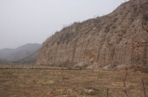 和政動物群遺蹟 和政動物群遺蹟