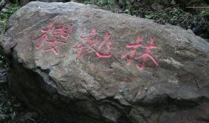 大台櫻桃溝 大台櫻桃溝