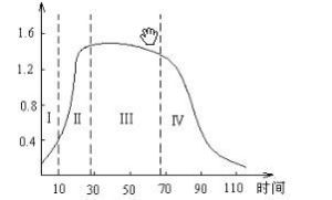 生長梯度 生長梯度
