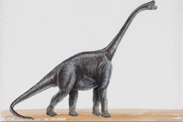 恐龍與人 恐龍與人