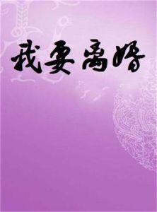 我要離婚 我要離婚