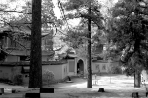 萬壽禪寺