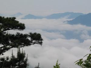 戴雲山自然保護區