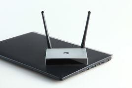 蒲公英[路由器]