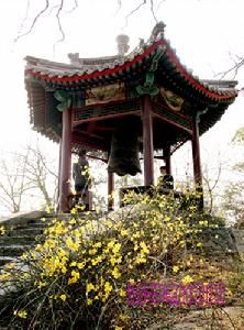 游故王駙馬池亭 游故王駙馬池亭