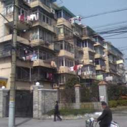 巨野路109弄 巨野路109弄