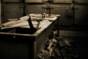 逃出紅色庇護所 逃出紅色庇護所