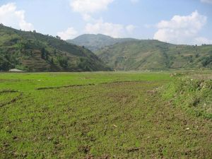 榪木自然村 榪木自然村