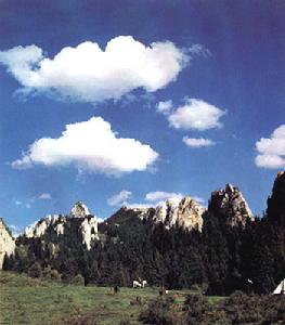 則岔石林位於碌曲縣東南15公里處洮河南側的拉仁關鄉境內，所在地村名為瑪日則岔