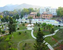 金安中學學校 金安中學學校