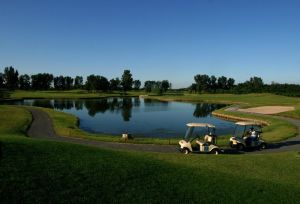 楊柳青森林公園
