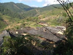 中平掌村 中平掌村