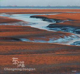 崇明東灘 崇明東灘