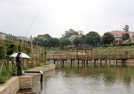 人工生態系統 人工生態系統