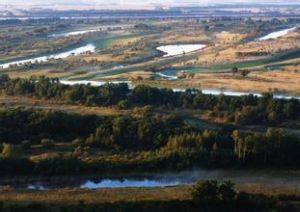 虎頭林場 虎頭林場