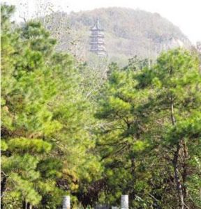 金陵大報恩寺 金陵大報恩寺