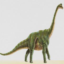 山東食草恐龍 山東食草恐龍