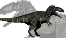 玫瑰馬普龍 玫瑰馬普龍