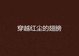 穿越紅塵的翅膀 穿越紅塵的翅膀