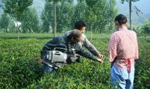 馬侃[電影製片人、導演]