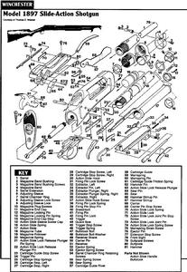 （圖）溫徹斯特1897霰彈槍