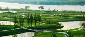 射陽國際高爾夫 射陽國際高爾夫