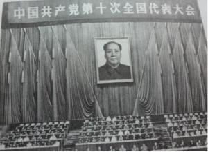 中國共產黨第十次全國代表大會 中國共產黨第十次全國代表大會
