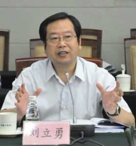 劉立勇[武漢市人民政府副市長]