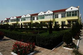 東四義村 東四義村