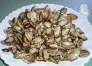 扁角櫻蛤 扁角櫻蛤