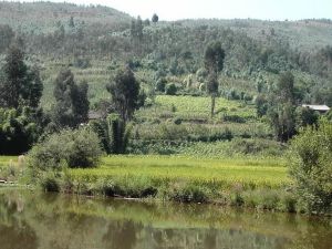 祖房箐村 祖房箐村