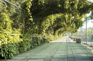 （圖）程戈莊鎮