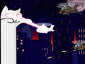 電眼貓咪 電眼貓咪