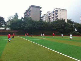 永川區第六中學 永川區第六中學