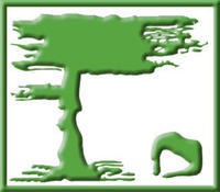 中國手腦潛能教育研究院 中國手腦潛能教育研究院