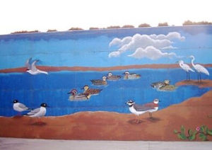 水林鄉塭底國際賞鳥濕地 水林鄉塭底國際賞鳥濕地