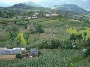 塔坡自然村 塔坡自然村