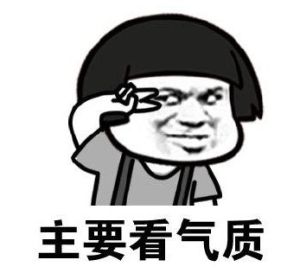 好看的皮囊千篇一律