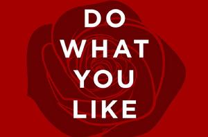 Do What You Like Do What You Like