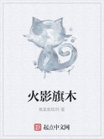 火影旗木 火影旗木
