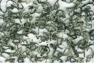 南糯白毫 南糯白毫