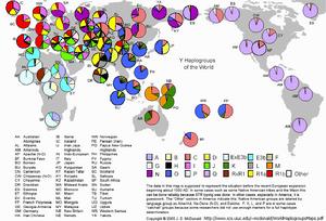 （圖）公元1500年世界人群分布的Y染色體單倍型類群圖