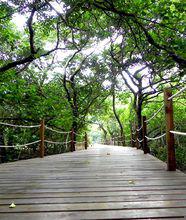 文昌[海南省文昌市]