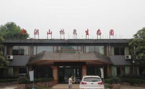 大洪山林泉生態園 大洪山林泉生態園