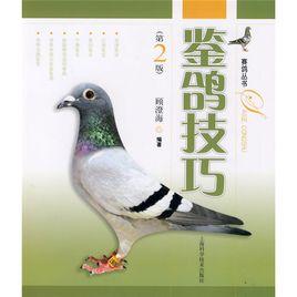 鑒鴿技巧 鑒鴿技巧
