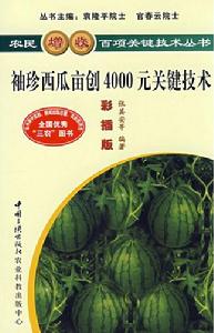 袖珍西瓜畝創4000元關鍵技術