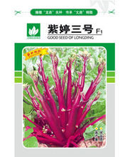 紫婷三號 紫婷三號