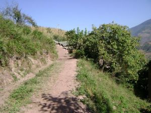 俄毛看村 俄毛看村