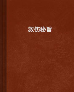 救傷秘旨
